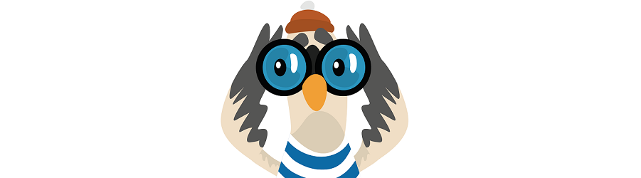 Banner image of Sunny the Seagull